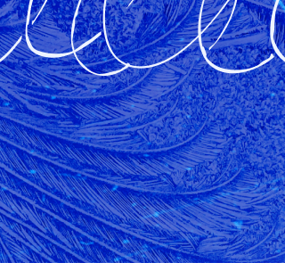 Footer decorative image